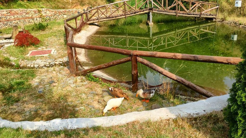 Villa Mark Kraevo Εξωτερικό φωτογραφία